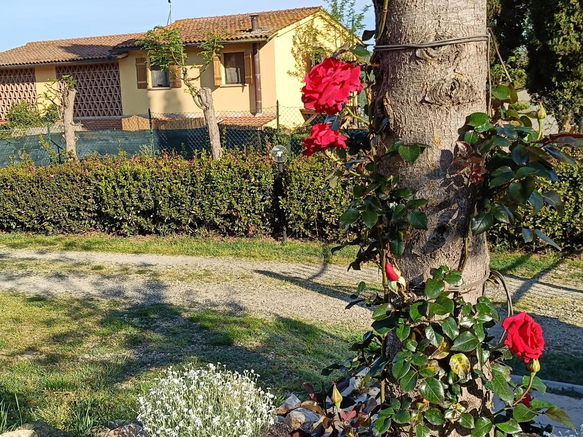 Casa Orneto Villa Poggibonsi Eksteriør bilde