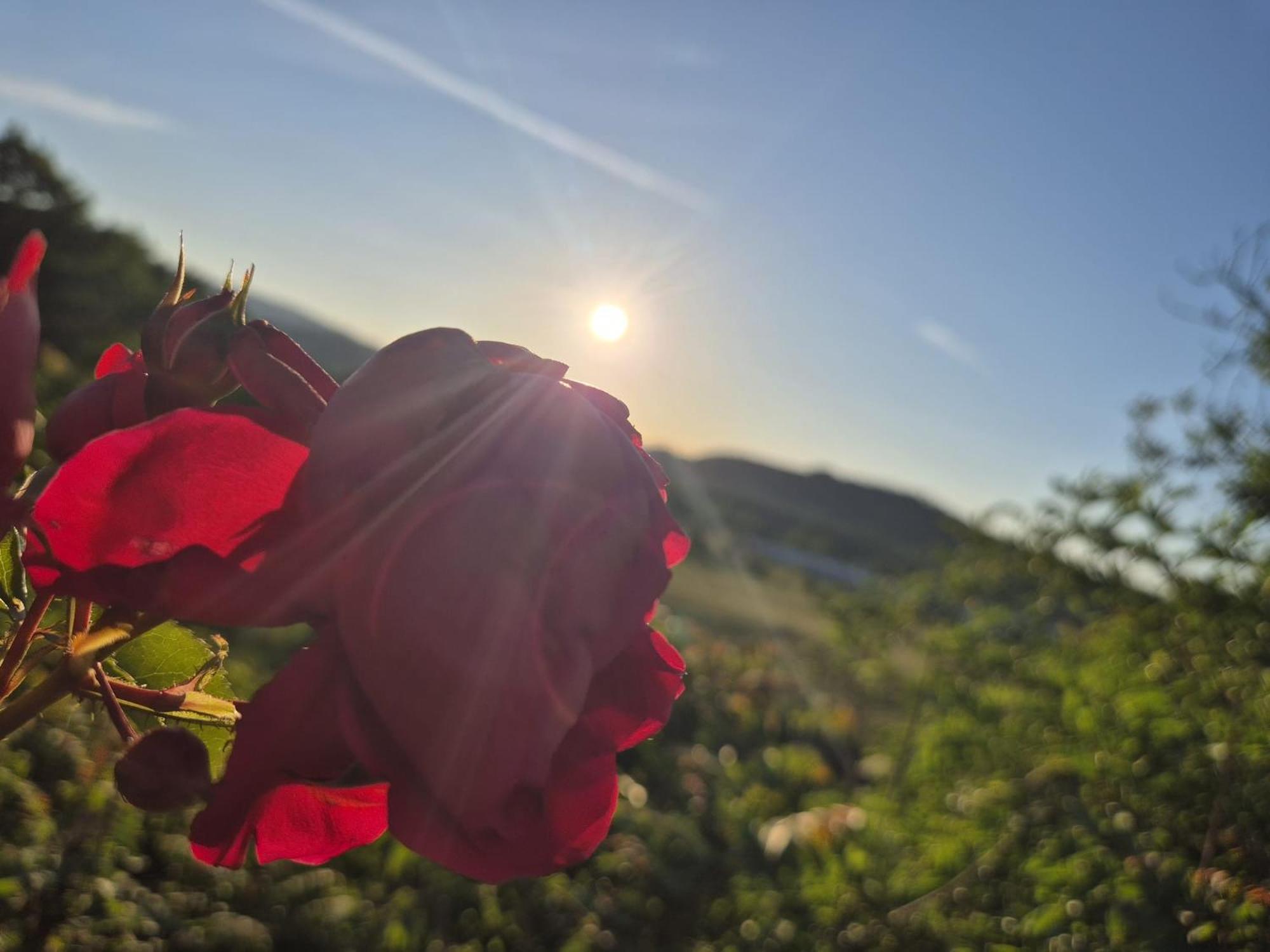Casa Orneto Villa Poggibonsi Eksteriør bilde