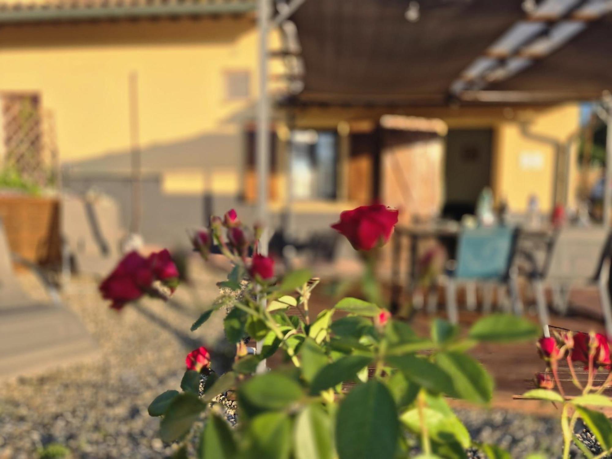 Casa Orneto Villa Poggibonsi Eksteriør bilde